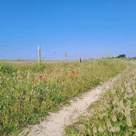 Maison 800 M Plage, 10 Mn La Torche *